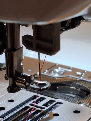 Chat de l'aiguille avec fil dedans.jpg