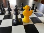 Echec et canard.jpg