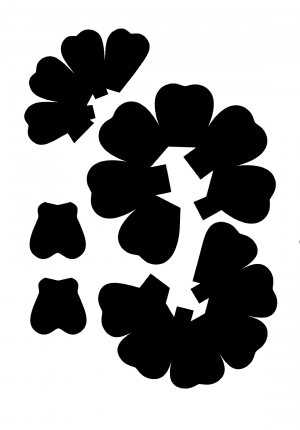 Popup card fleur clean noir.png