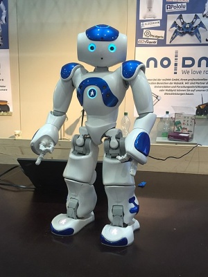 1-Nao Robot (Robocup 2016).jpg