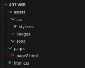 Siteweb.png
