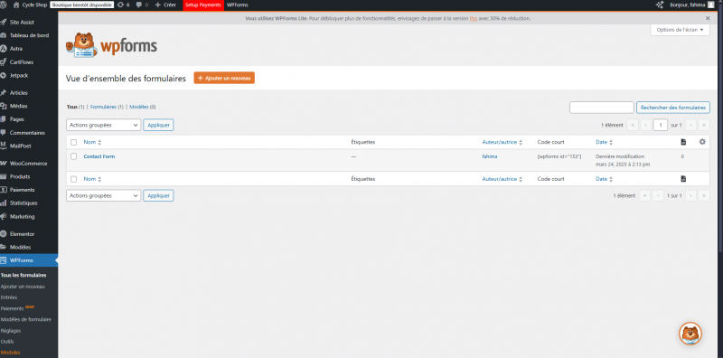 Fichier:WPForms installation.png