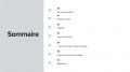 Vignette pour la version du 26 mars 2025 à 10:56