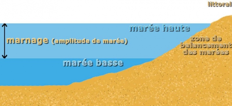 Fichier:Schéma marnage.jpg