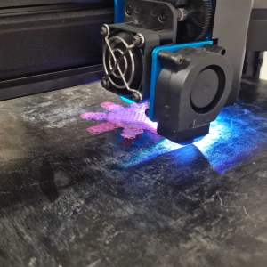 Jeudi matin 3 fidget.png