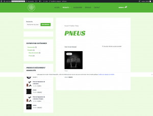 Site vente de pneus produit pneu.png