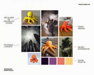 Moodboard Fidget Poulpe.png